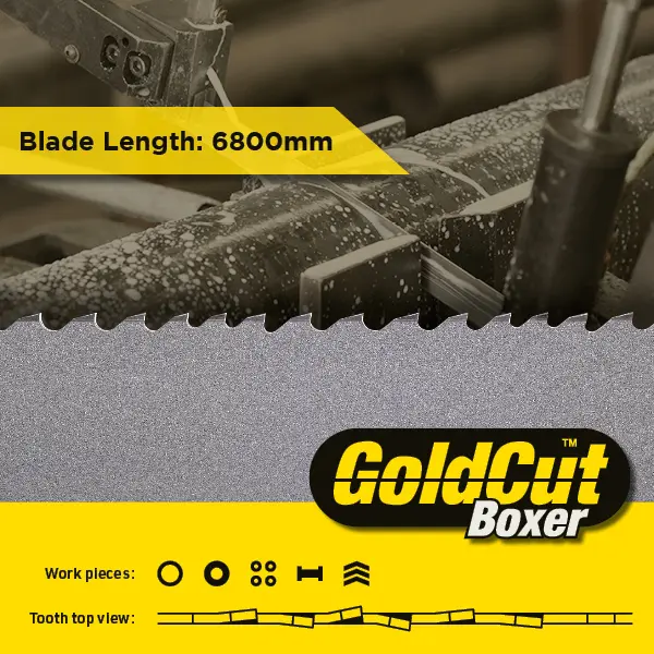 6800 x 41 x 1.3mm - GoldCut Boxer Bandsaw Blade